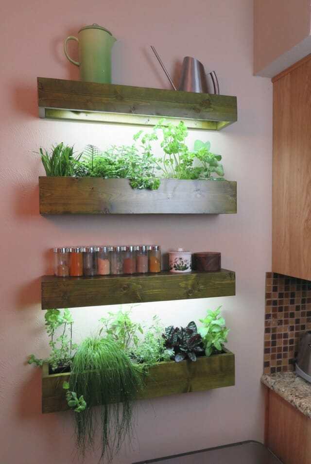 indoor wall herb garden ideas