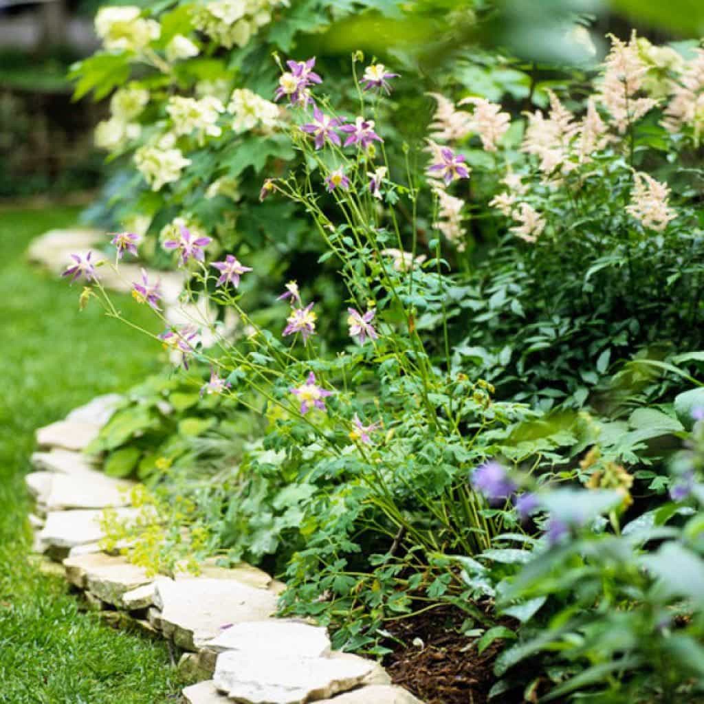 lawn edging materials and ideas
