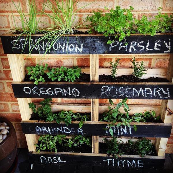 herb garden box diy