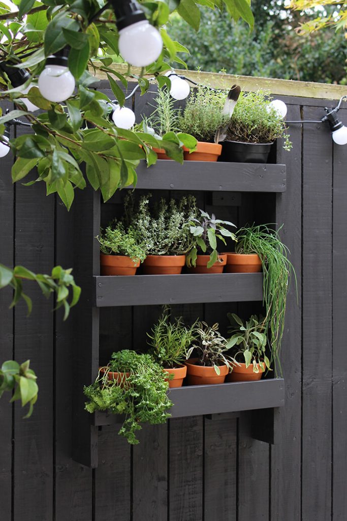 herb garden ideas for patio