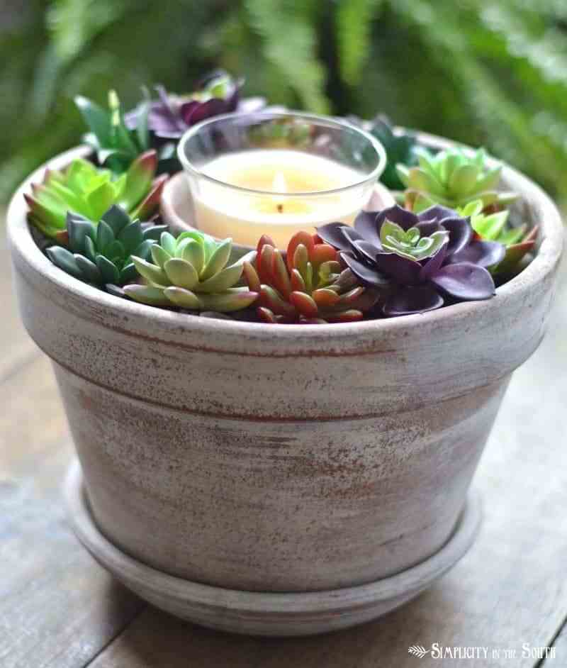 miniature succulent garden ideas