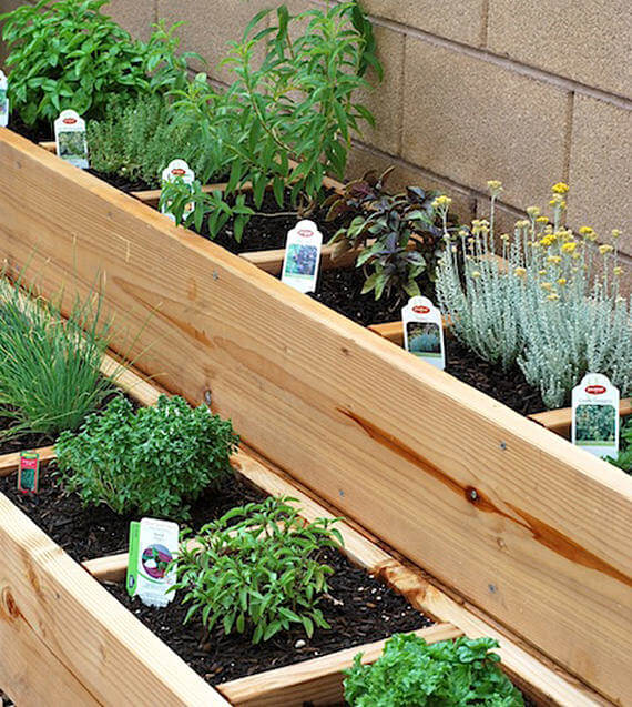 raised herb garden ideas