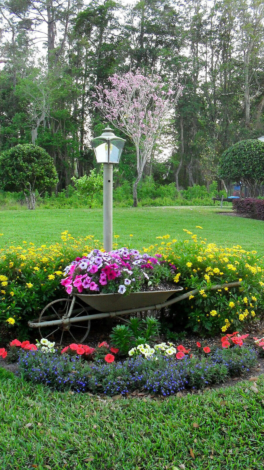 flower bed ideas for front yard