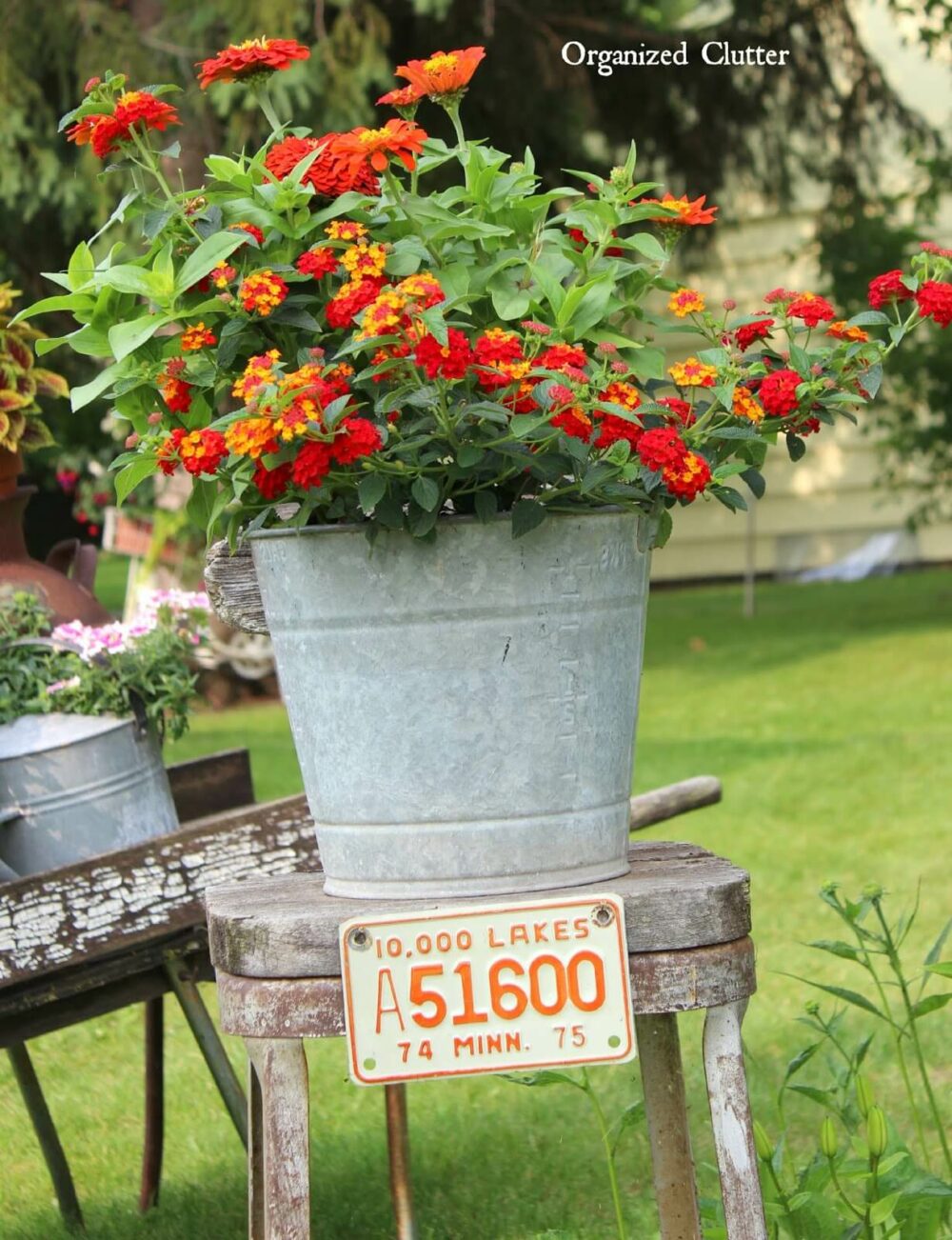 cheap flower pot ideas