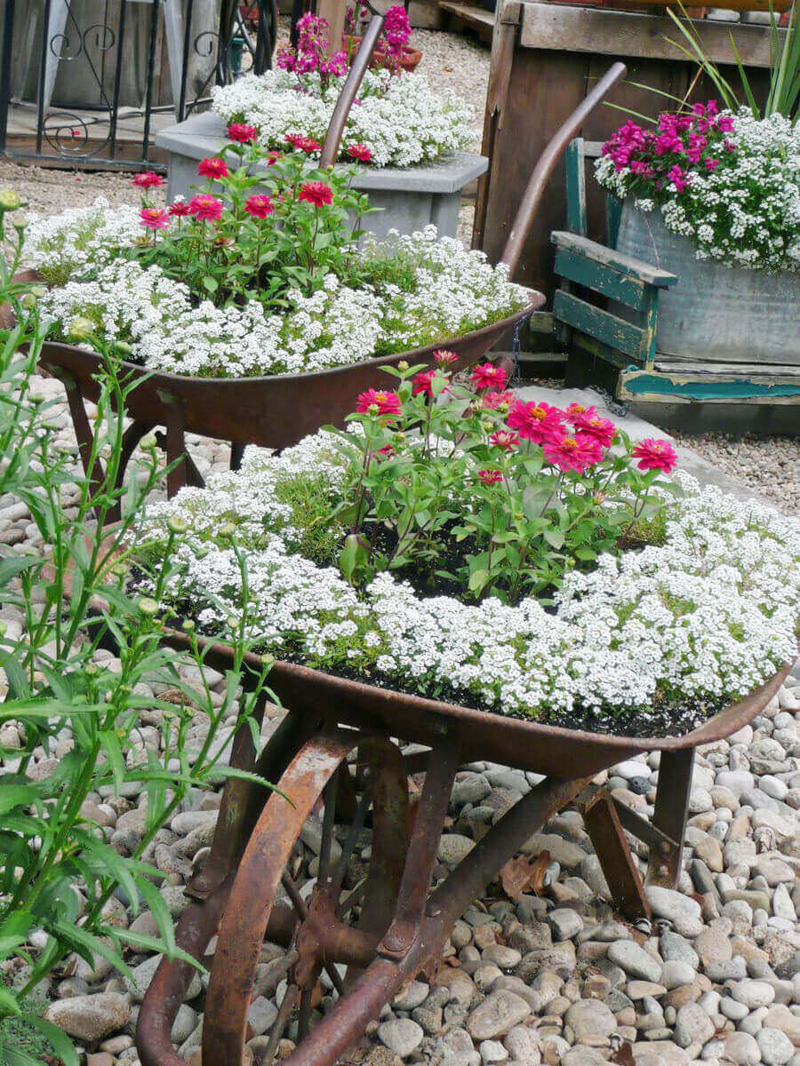 outdoor flower pot ideas