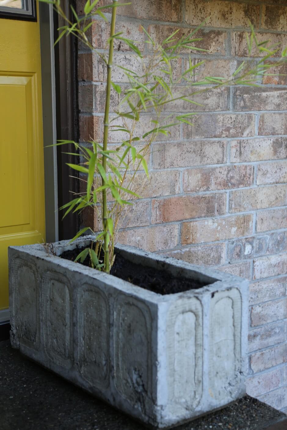 diy lightweight cement concrete planter