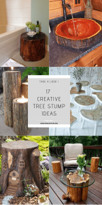 Creative Tree Stump Ideas