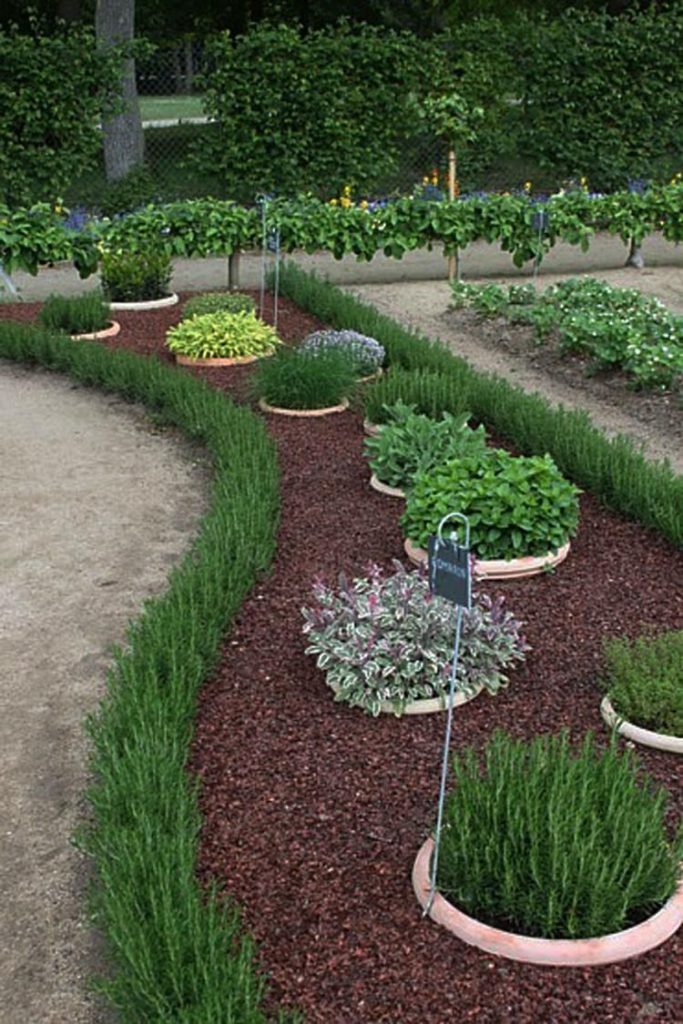 backyard herb garden ideas