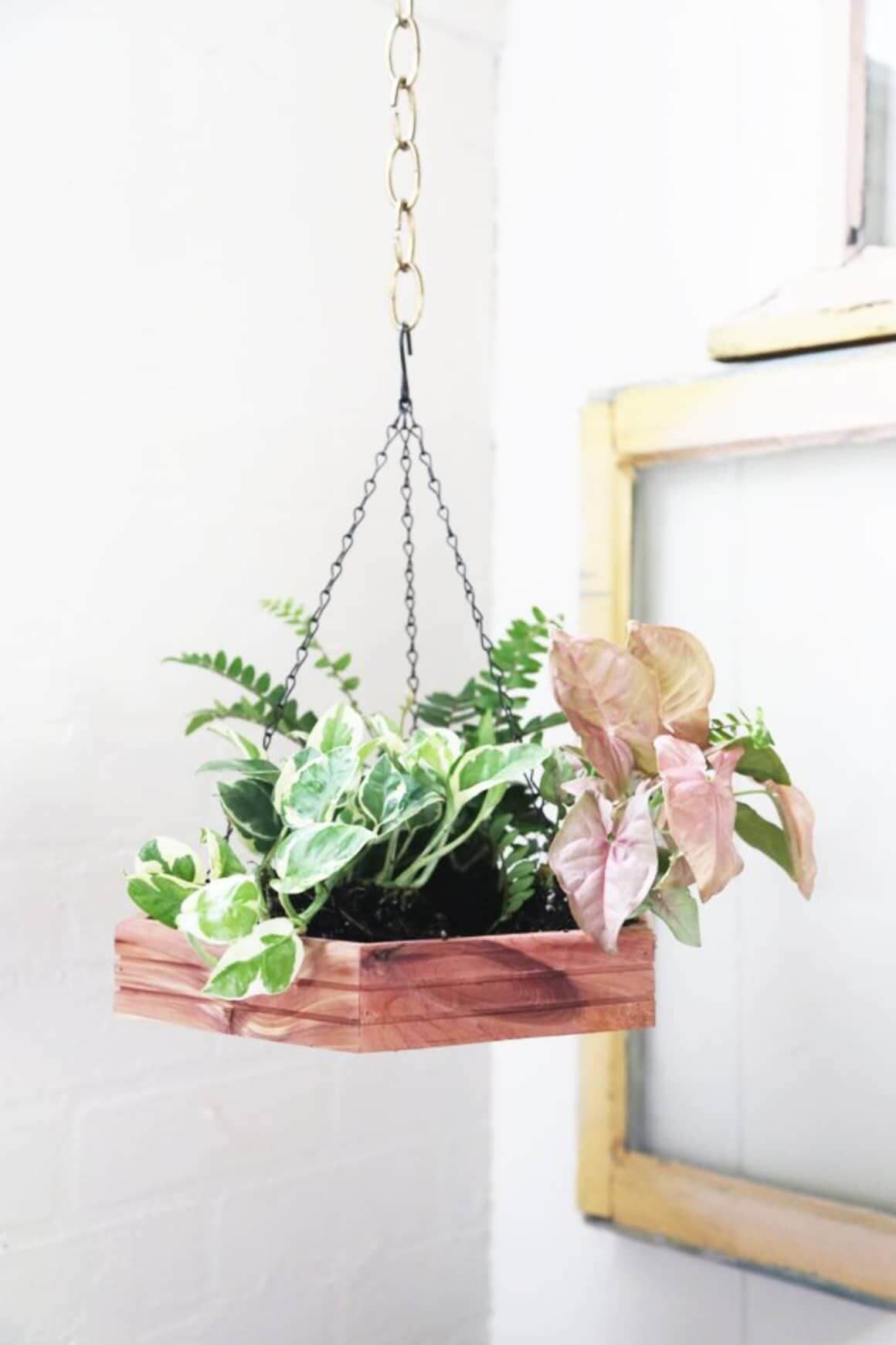 DIY hexagon hanging planter